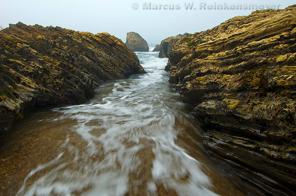 Exposed Pacific coast geology on a foggy day at Montana de Ore State Park, California.