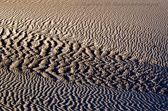 Sand dune ripples and nature's patterns in the Mesquite Flat Dunes, Death Valley National Park, California.