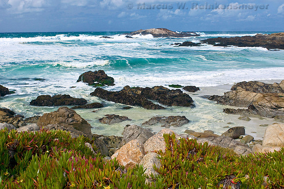 Pebble Beach, 17 Mile Drive, California