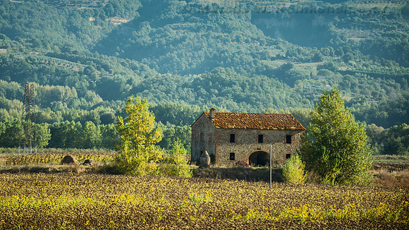 Rustic Countryside, Italy