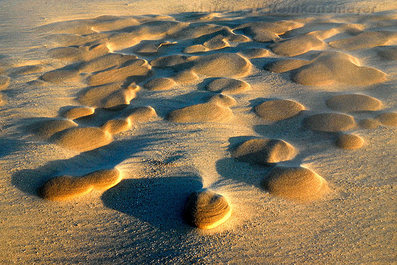 Sculpted by wiind and rain, sand dune formations in the evening light at Silver Lake State Park, Michigan.