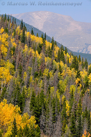 Rocky Mtn Park 108