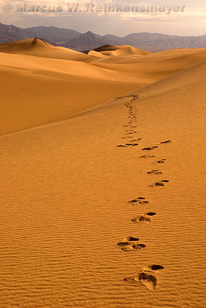 Footprints in Sand, Mesquite Flat Dunes, Death Valley National Park, California