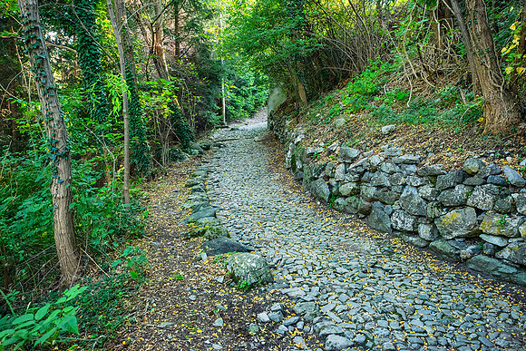 Mule Path, Lake Como, Varenna, Lombardy, Italy.jpg