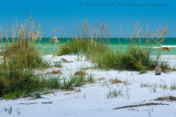 Fort De Soto State Park