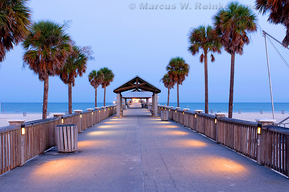 Pier 60 with palm trees