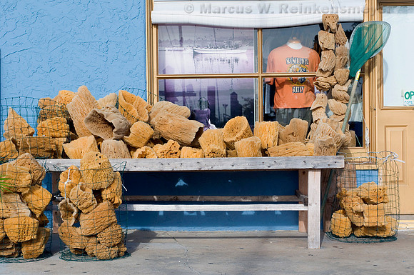 Sponges For Sale