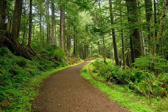 Caltsop Loop Trail, Ecola State Park, Cannon Beach, Oregon