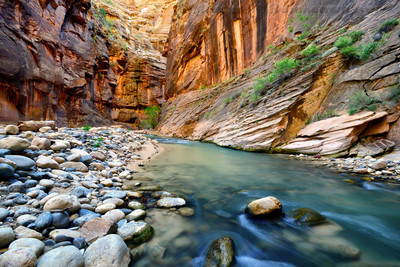 Virgin Narrows Bend, Zion National Park, Utah