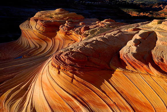 Second Wave,  North Coyote Buttes, Paria Canyon - Vermilion Cliffs
