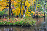 Autumn, Milham Park, Portage, Michigan 1