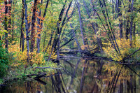 Autumn Reflections, Paw Paw River, Michighan 3 B