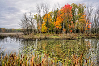 Autumn Collage, Pretty Lake, Michigan 2