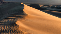 Transient Dune Impressions, Mesquite Flat Dunes, Death Valley, CA 4 pano 16 x 9
