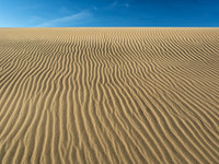 Dune Ripples, Mesquire Flat Dunes, Death Valley, CA 1