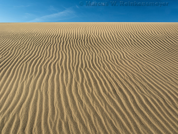Dune Ripples, Mesquire Flat Dunes, Death Valley, CA 1