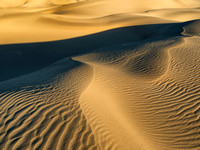 Transient Dune Impressions, Mesquite Flat Dunes, Death Valley, CA 11