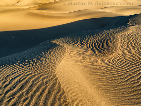 Transient Dune Impressions, Mesquite Flat Dunes, Death Valley, CA 11