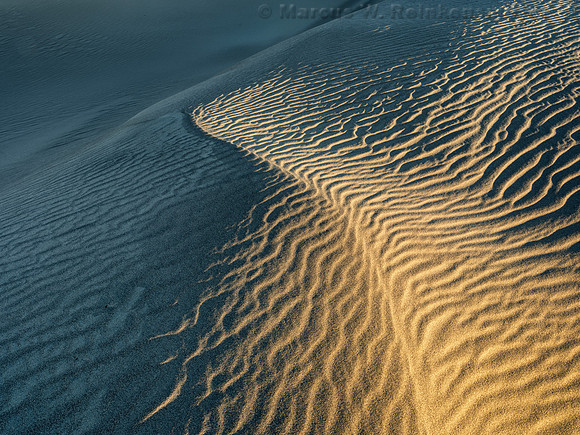 Transient Dune Impressions, Mesquite Flat Dunes, Death Valley, CA 12