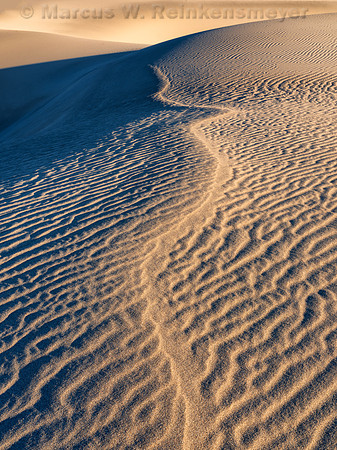 Transient Dune Impressions, Mesquite Flat Dunes, Death Valley, CA 13