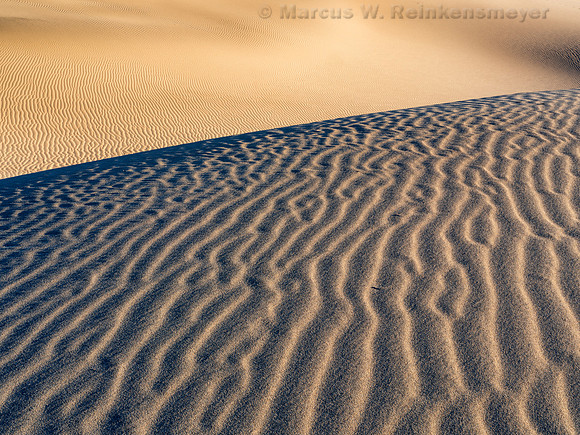 Transient Dune Impressions, Mesquite Flat Dunes, Death Valley, CA 14