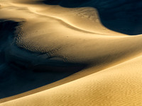 Transient Dune Impressions, Mesquite Flat Dunes, Death Valley, CA 31