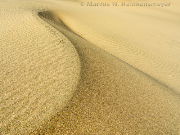 Transient Dune Impressions, Mesquite Flat Dunes, Death Valley, CA 20