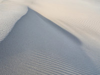 Transient Dune Impressions, Mesquite Flat Dunes, Death Valley, CA 29