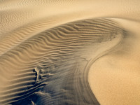Transient Dune Impressions, Mesquite Flat Dunes, Death Valley, CA 33