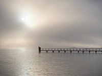 Dawn Fog, Tomales Bay, CA 2