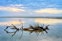 Early Dawn, Bald Head Island, NC 1