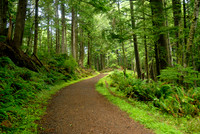 OR - Ecola State Park, Clatsop Trail