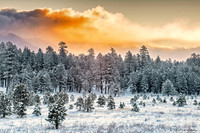 Snow Laced Meadow at Sunrise, Flagstaff AZ sig-topaz-denoise-sharpen