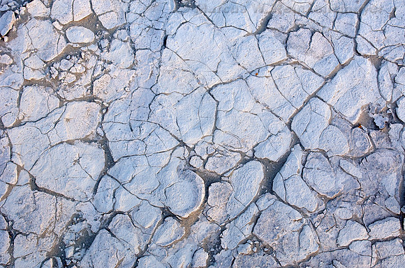 Ground Detail, Mesquite Flat Dunes, Death Valley National Park,  California