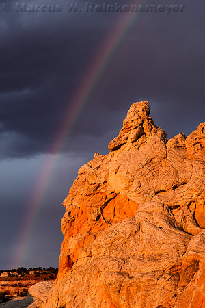 White Pocket Rainbow 2
