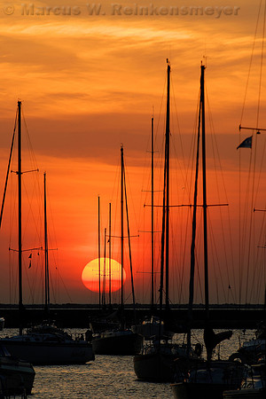 Orange in the Harbor, Chicago