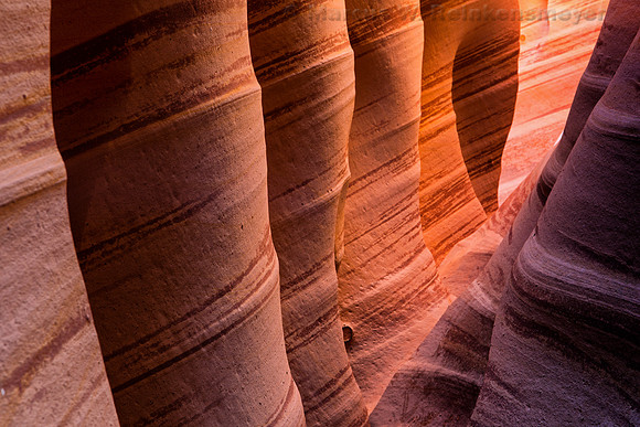 Grand Staircase - Escalante, Utah, Zebra Canyon 1