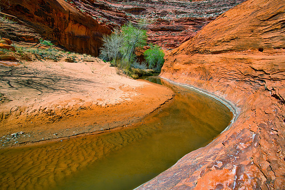 _Grand Case Escalante Utah Coyote Gulch Bend 1