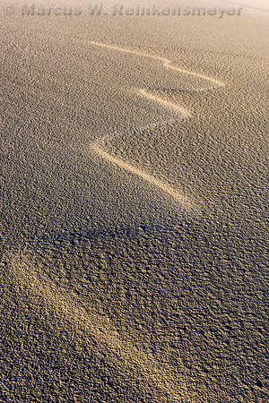 Oregon Dunes National Recreation Area,  John Dellenback Dunes Trail,  4, Oregon