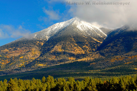 AZ - Flagstaff, San Francisco Peaks, Chill in the Fall Air