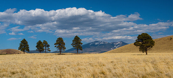 Flagstaff Governor Prairie 1 pano c