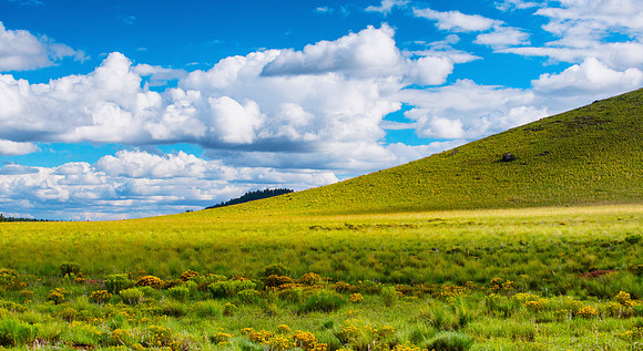 Government Prairie Merger
