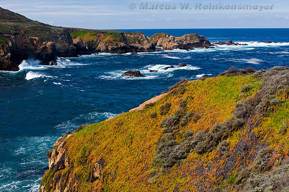 Big Sur coastline viewed from a cliff at Garrapata State Park , California.
