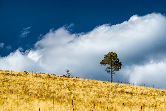 Rule of Thirds, Government Prairie Clouds on Hill Top 2