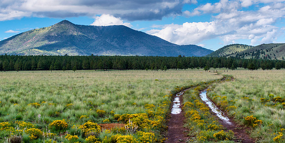 Government Prairie Wet Tracks copy