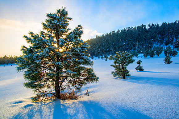 Sunrise Snow Fluries, Flagstaff AZ