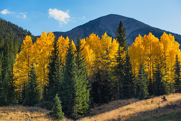 Inner Basin 3, San Francisco Peaks, Flagstaff, AZ