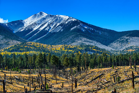 San Francisco Peaks, Flagstaff,  Arizona - web
