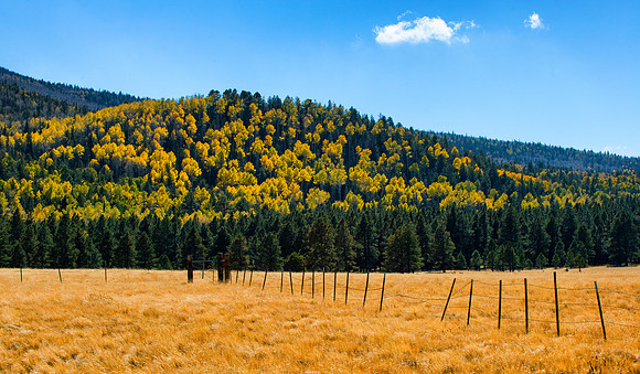 _DSC3117 web