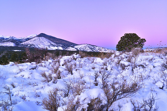 San Francisco Peaks Pink Dawn